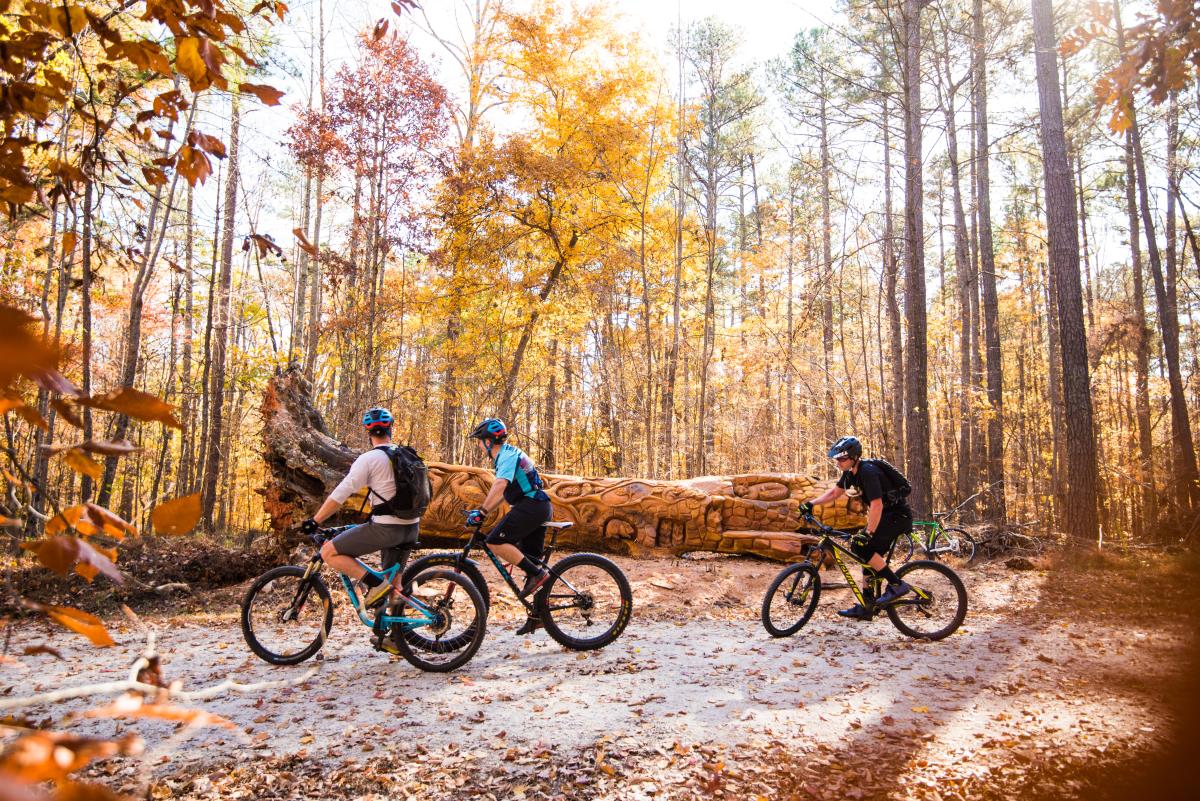 William B. Umstead State Park in Brier Creek