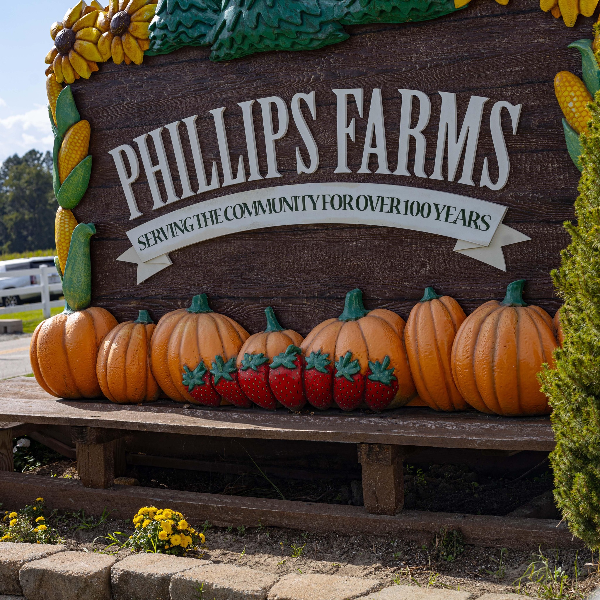 Phillips Farms in Cary, NC